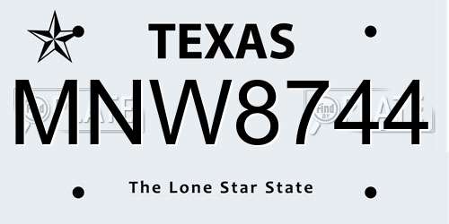MNW8744 Texas License Plate