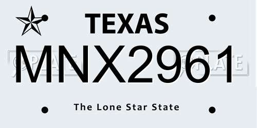 MNX2961 Texas License Plate