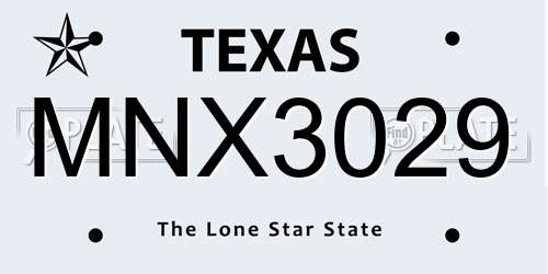 MNX3029 Texas License Plate