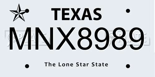 MNX8989 Texas License Plate
