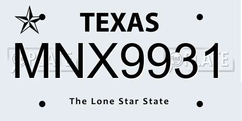 MNX9931 Texas License Plate