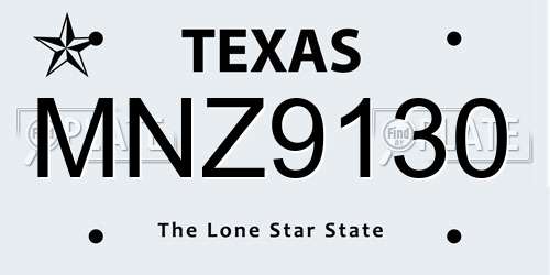 MNZ9130 Texas License Plate