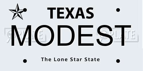 MODEST Texas License Plate