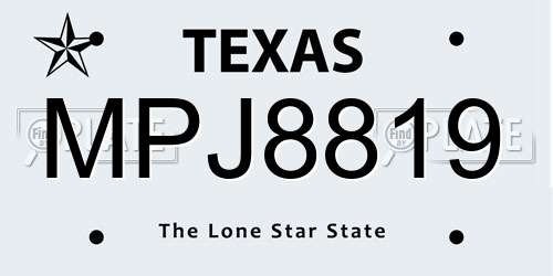 MPJ8819 Texas License Plate