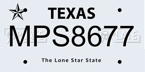 MPS8677 Texas License Plate