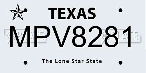 MPV8281 Texas License Plate