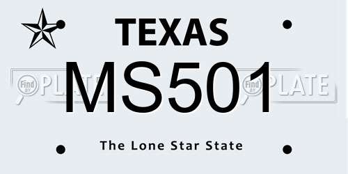 MS501 Texas License Plate