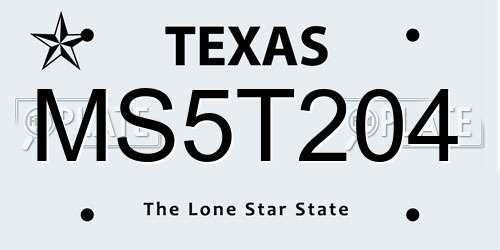 MS5T204 Texas License Plate