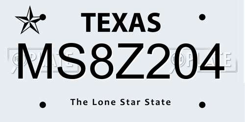 MS8Z204 Texas License Plate