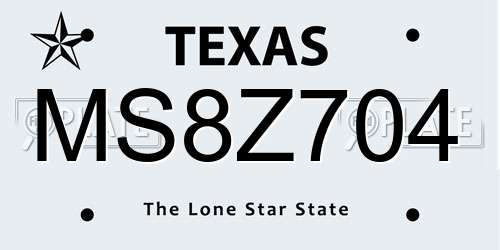 MS8Z704 Texas License Plate