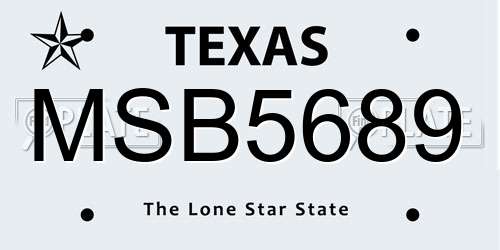 MSB5689 Texas License Plate