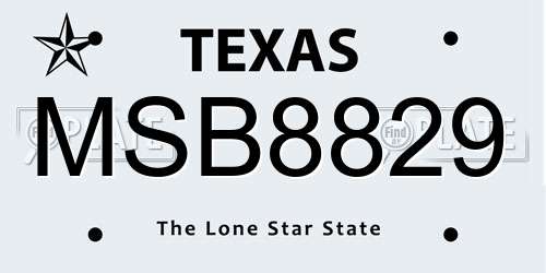 MSB8829 Texas License Plate