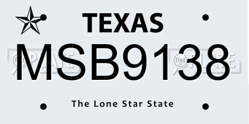 MSB9138 Texas License Plate