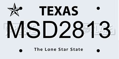 MSD2813 Texas License Plate