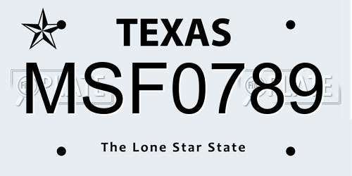MSF0789 Texas License Plate