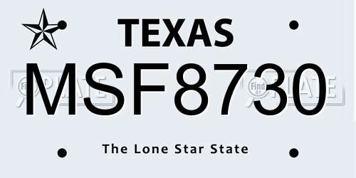 MSF8730 Texas License Plate