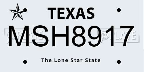 MSH8917 Texas License Plate