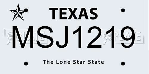 MSJ1219 Texas License Plate