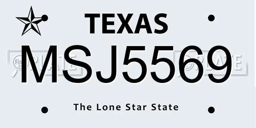 MSJ5569 Texas License Plate
