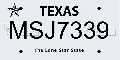 MSJ7339 Texas License Plate