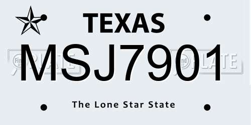 MSJ7901 Texas License Plate