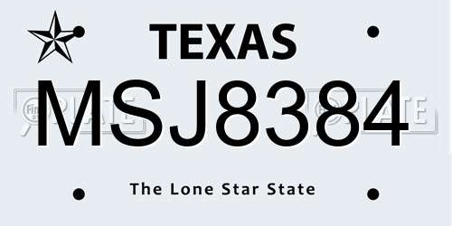 MSJ8384 Texas License Plate