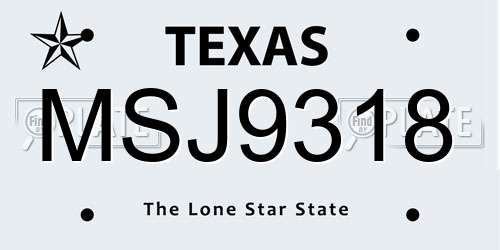 MSJ9318 Texas License Plate