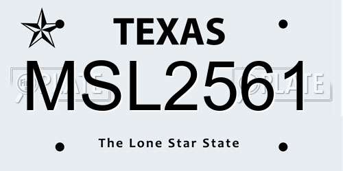 MSL2561 Texas License Plate
