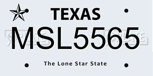 MSL5565 Texas License Plate