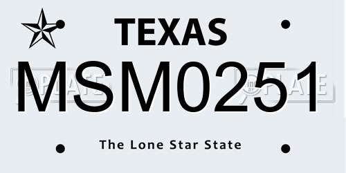 MSM0251 Texas License Plate