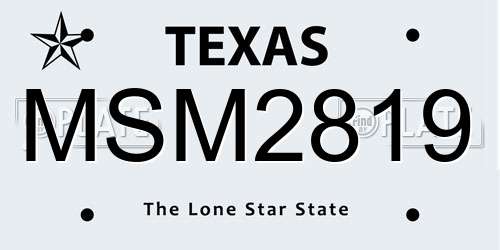 MSM2819 Texas License Plate