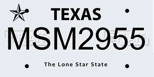 MSM2955 Texas License Plate