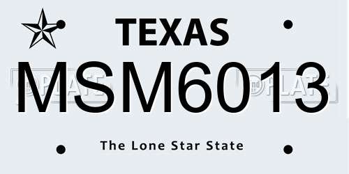 MSM6013 Texas License Plate