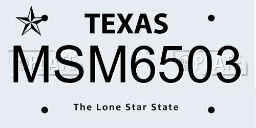 MSM6503 Texas License Plate