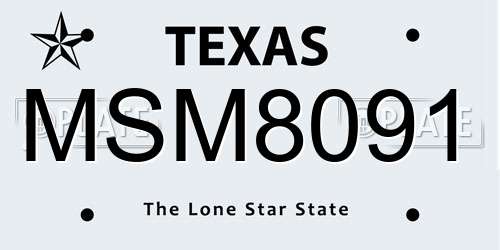 MSM8091 Texas License Plate