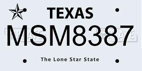 MSM8387 Texas License Plate