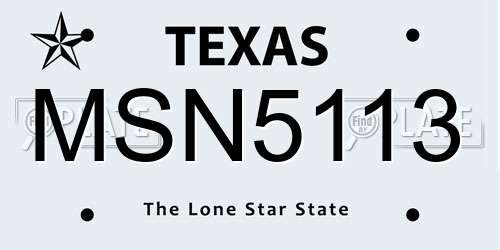 MSN5113 Texas License Plate