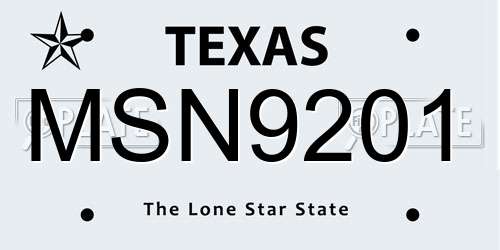 MSN9201 Texas License Plate