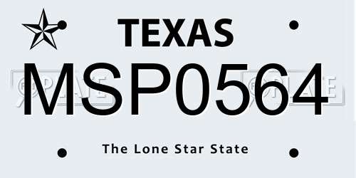 MSP0564 Texas License Plate