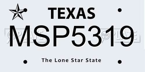 MSP5319 Texas License Plate
