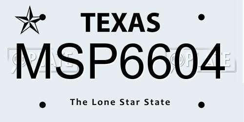 MSP6604 Texas License Plate