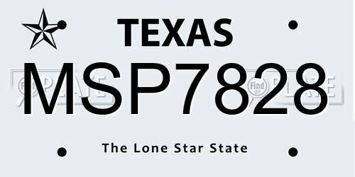 MSP7828 Texas License Plate