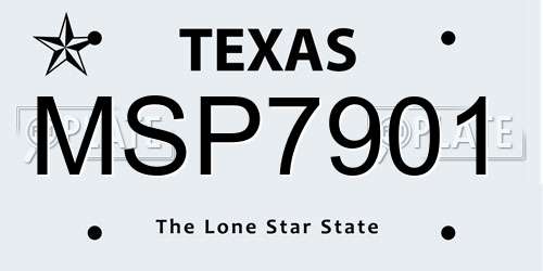 MSP7901 Texas License Plate