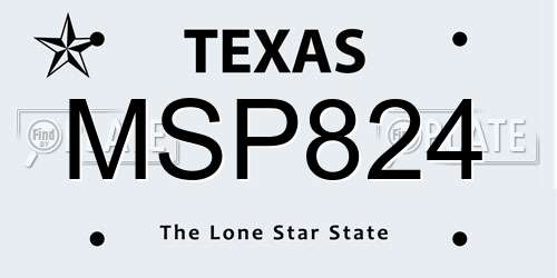 MSP824 Texas License Plate
