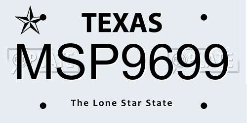 MSP9699 Texas License Plate