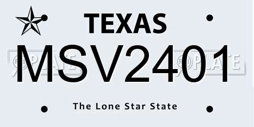MSV2401 Texas License Plate