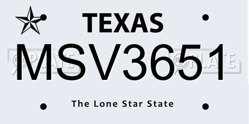 MSV3651 Texas License Plate