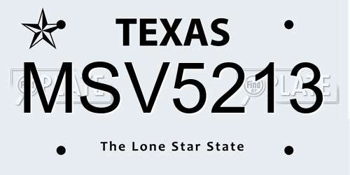 MSV5213 Texas License Plate