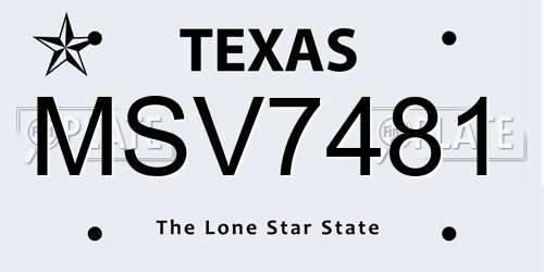 MSV7481 Texas License Plate