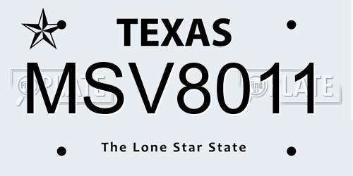 MSV8011 Texas License Plate